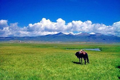 南山天然风景区